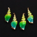 Vierdelige set zeeschelp hangers met groen geel blauw verloop en gouden randen - Geel Groen Blauw Verloop