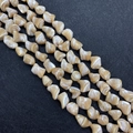 Unregelmäßige natürliche Muschelperlen für DIY-Schmuck mit beigen gedrehten Tropfen - 12-13mm / Karamellbraun