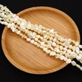 Close-up of irregular natural shell beads with pearlescent luster in a wooden tray - 4-6mm, 27g / Creamy White (No. 9)