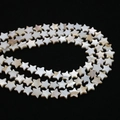 Makrodetail der sternförmigen weißen Muschelperlen mit natürlichem Glanz für DIY-Schmuck - Pentagramm
