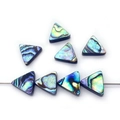 Macro-opname van driehoekige parels van natuurlijk abalone-schelp met regenboog-irisatie - Driehoek