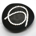 Natural star-shaped white freshwater shell beads arranged on a black ceramic plate - Five-Petal Flower / 6mm / White