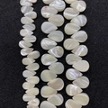 Gepolijste witte natuurlijke schelpkralen in druppelvorm voor DIY sieraden maken - Druppelstijl (Nr. 55) / 6x10mm / AB Wit