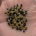 Golden copper chain with black enamel water drop pendants for DIY jewelry making - In Roll / Black