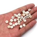 Cuentas redondas de concha blanca con motivo de tortuga dorada para joyería DIY - Tortuga / 6mm (20 Piezas)