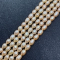 Natural AAA grade rice-shaped freshwater pearls in champagne pink for DIY jewelry - Yellow / 3-4mm