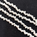 Makroaufnahme von natürlichen weißen Spiralschnecken für DIY Schmuckherstellung - Weiß