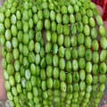 Perles de coquillage teintes ovales vert herbe pour bijoux avec éclat de soie - Grass Green (No.6)