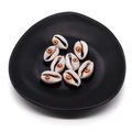 Natural 9x19mm cowrie shell beads with evil eye print for DIY jewelry making - No. 2 (20 Pieces/pack) / 9x19mm 1.5g/Piece