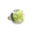 Clear 16x21mm spherical glass pendant with light green floral petals and silver bail - Light Green (No.3)