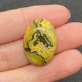 Gepolijste 18x25mm bumblebee jaspis ovale steen met gele en zwarte natuurlijke texturen - Bumblebee Jaspis Patroon (Nr. 7) / 18x25mm