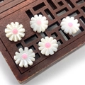 Cuentas de margarita de concha natural para la creación de collares y pulseras DIY - Estilo Centro Rosa (N.º 2) / 10mm
