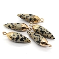 Set van vijf gefacetteerde druppelhangers van dalmatiërsteen met gouden kapjes - Dalmatijnse jaspis