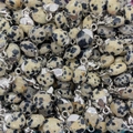 Dalmatiër jaspis ovale hangers met zilveren oogje voor sieraden maken - 8x14mm / Dalmatijnse jaspis