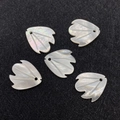 Anhänger aus natürlichem Perlmutt in Flossenform mit strahlenden Linien, 5er-Set - 16x17mm Stil / Weiße Muschel