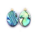 Pendentifs ovales en nacre d'abalone naturelle aux reflets bleus et verts irisés - Ovale / 6X8mm