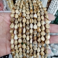Polished teardrop picture jasper natural stone beads for DIY jewelry making - Approx 40 Pieces/Pack / Picture Jasper