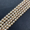 Strand of high luster rice-shaped freshwater pearls in natural pink orange for DIY jewelry - 6-7mm Style (4860583272224) / Pink Orange