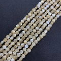 Makroaufnahme von irisierenden Perlmuttschalenperlen auf grauem Hintergrund für DIY - Runde Flache Perle 8mm