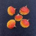 Cinq pendentifs en coquillage en éventail avec dégradé orange et bords en métal doré - Couleurs Mélangées