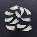 Pack of 10 ivory-shaped natural shell pendants with iridescent luster and silver loops - Tooth Style (5056411613536)
