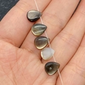 Natürliche Meeresschneckenperlen in Tropfenform 8x10mm für DIY Schmuckherstellung - Tropfenstil (1022-B210703002) / Schwarze Muschel