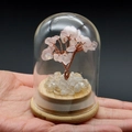 Detail of a pink crystal fortune tree in a glass dome with a natural wooden base - Rose Quartz And Citrine