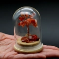 Vista a mano di un albero della vita in cristallo rosso in cupola di vetro con base - Agata rossa