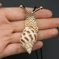 Creative snail pendant with natural shell and gold-tone metal on a black cord - East-wind Snail Necklace / 20-60mm, 11-17g / Gold