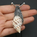 Handcrafted snail pendant featuring a natural spiral seashell and silver-tone textured metal - East-wind Snail Necklace / 20-60mm, 11-17g / Silver