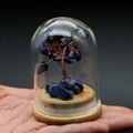Handmade lapis lazuli crystal tree of life in a glass dome with a solid wood base - Lapis Lazuli
