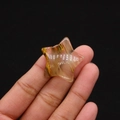 Detailed macro shot of star-shaped polished natural stone bead held between fingertips - 30mm (Thickness 8mm) / Watermelon Skin (Striped)