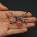 Detailed view of large spider pendant with pink crystal stone held in hand for scale - 34x47mm, 14g / Watermelon Quartz