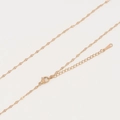 Détail de la chaîne à lèvres en acier inoxydable plaqué or 18 carats avec fermoir homard - Chaîne à Lèvres Or Rose