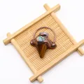 Macro-opname van de pijlpunt hanger met tijgeroog, abalone schelp en amethist steen - Tijgeroog