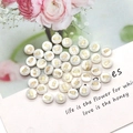 Macro detail of white shell beads with golden owl prints for DIY jewelry making - Owl Pattern / 8mm 20 Pieces Per Pack