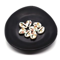 Turtle and starfish printed sea shell beads for DIY jewelry in a black tray - Turtle Starfish And Crab Pattern (Style 3)