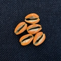Five orange enamel shell beads with gold plated metal edges for DIY jewelry making - 20 Pieces/Pack (14x20mm) / Orange