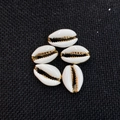 Five natural white cowrie shells with gold-plated edges for DIY jewelry making - 20 Pieces/Pack (14x20mm) / White