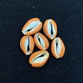 DIY necklace accessories featuring six bright orange and white natural cowrie shell beads - Orange