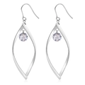 Elegante geometrische blad oorbellen met kristallen hanger in zilveren titanium staal - Staalkleur met Strass
