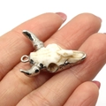 Bohemian style white resin bull skull pendant with silver plated metal edges and loop - 27x31mm / US 5