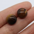 Polished round 12mm Tiger's Eye gemstone studs with natural wood-like texture - Tiger's Eye