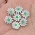 DIY daisy flower beads with white petals and green center for jewelry making - 10mm / No. 5 (Green)