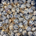 Dalmatiër Jaspis ovale stenen hanger met gouden kapje voor DIY sieraden maken - Dalmatijnse jaspis / 8x14mm