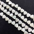 Cuentas de concha natural en forma de corazón para creación de joyas y manualidades - Estilo Corazón / 12mm