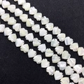 Dettaglio macro di perle in madreperla bianca a forma di pesce con lucentezza naturale - 12x12mm