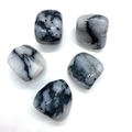 Vue détaillée de cinq pierres naturelles polies grises et noires pour la méditation chakra - Jaspe Dalmatien (No.6)