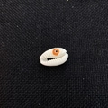 Natural white sea shell beads with orange evil eye pattern for DIY jewelry making - 12x20mm / 20 Pieces Set / Orange