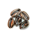 Metallic gunmetal plated natural shell loose beads for DIY jewelry bracelet crafting - No. 11 (20 Pieces/pack) / 13x19mm